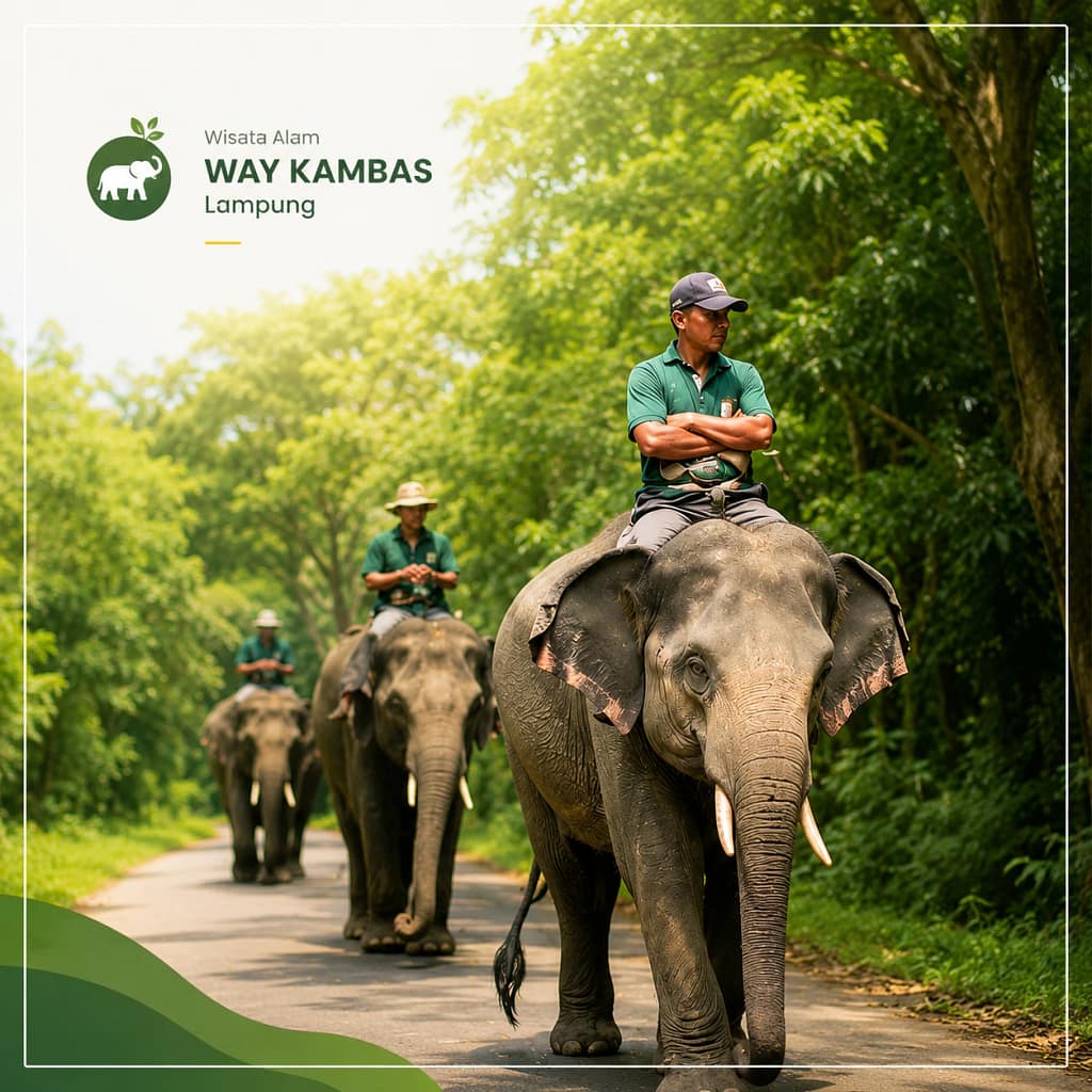 Destinasi wisata waykambas lampung