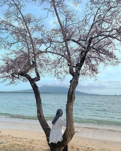 Harga Tiket Masuk Pantai Sapenan - Wisata Bahari Lampung Harga Tiket Masuk Pantai Sapenan