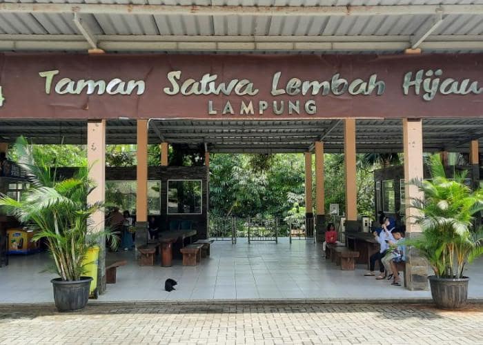 Harga Tiket dan Biaya Masuk Lembah Hijau Lampung 3
