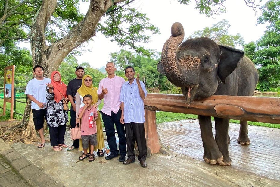 Kebun Binatang Lampung, Pilihan Wisata Satwa untuk Keluarga 6