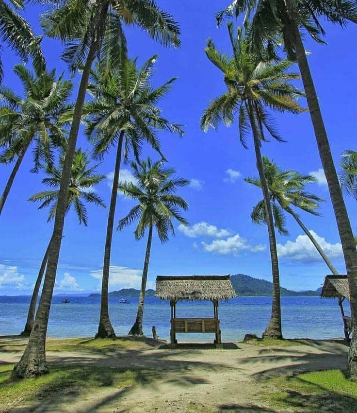 Daya Tarik Wisata Pantai Ketapang Lampung
