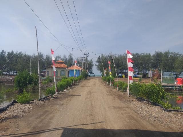 Pantai Mutiara Baru Lampung Timur, Wisata Pantai dengan Suasana Alami 6