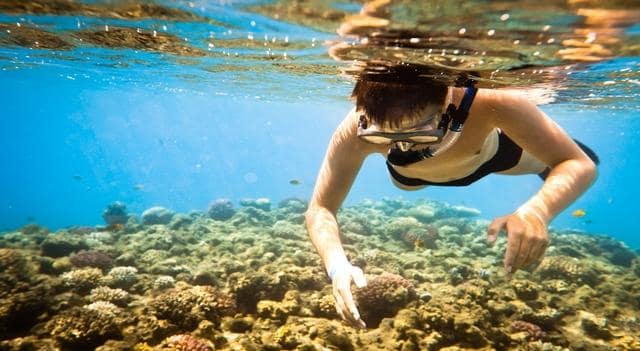 Wisata Pantai Pulau Tegal Mas Lampung8 