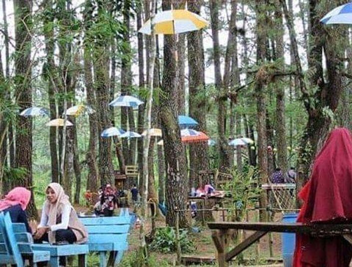 5. Pinus Ecopark Lampung 3