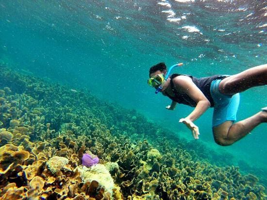 wisata pantai lampung