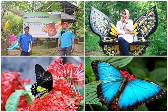 Waktu yang Cocok untuk Berkunjung 