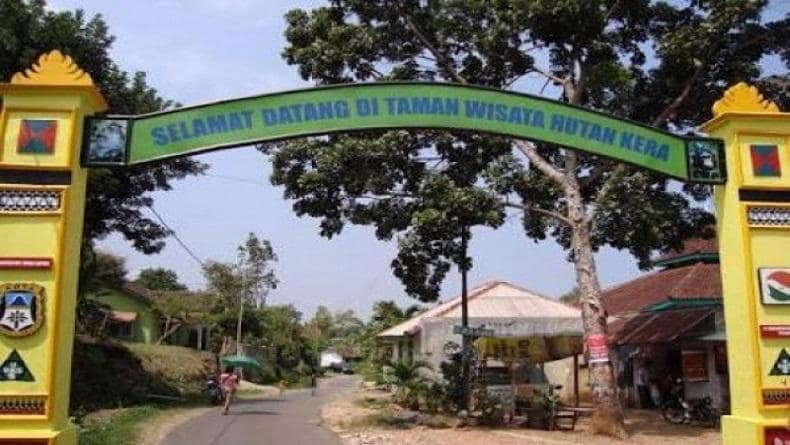Taman Wisata Hutan Kera Bandar Lampung 